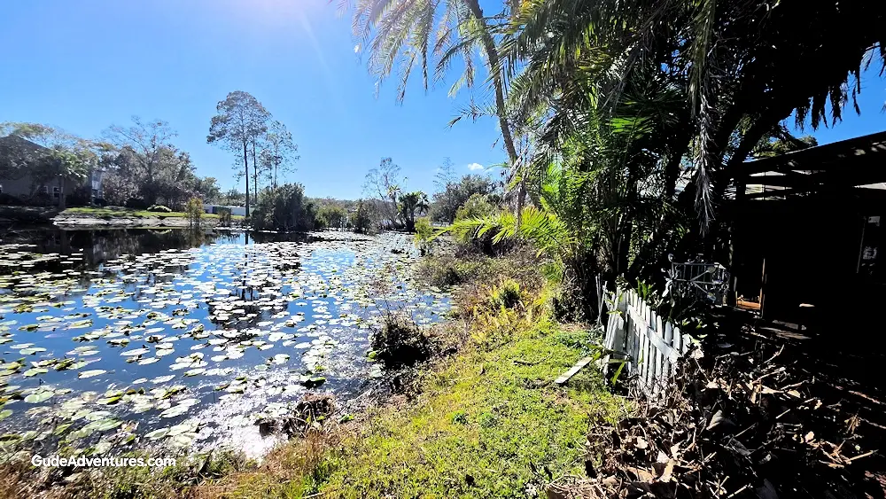 One of the many small lakes in Lutz