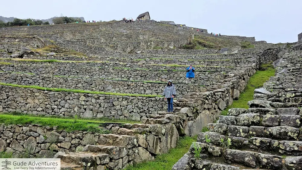 Machu Picchu Terraces