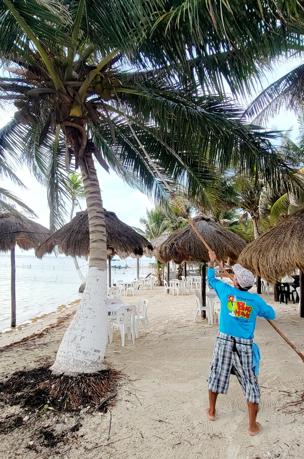 Mahahual