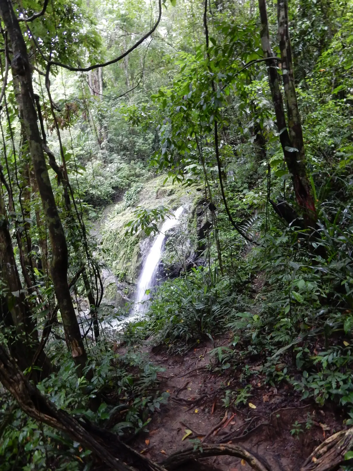 waterfall