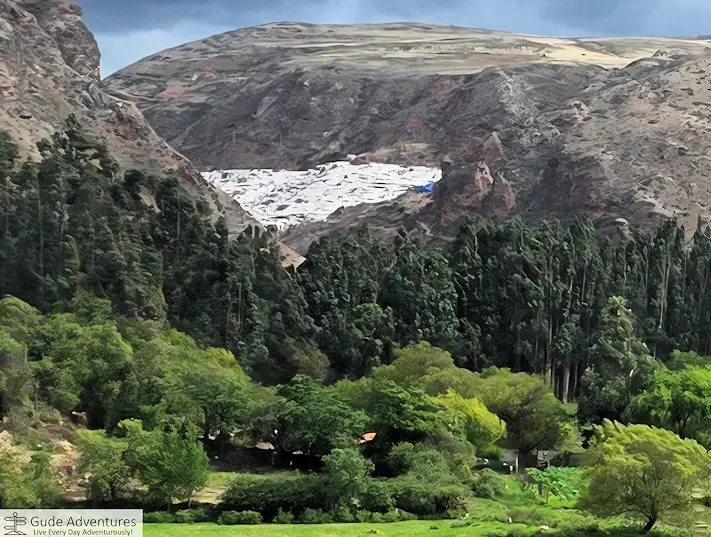The site consists of more than 3,000 salt evaporation ponds 