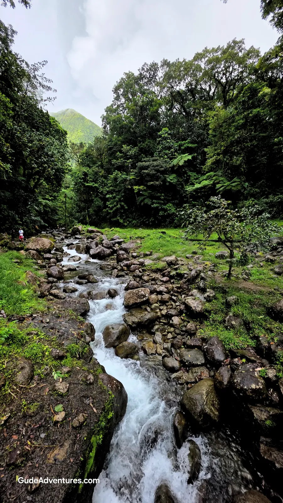 Riviere Alma cascade on the highway thru the rainforest