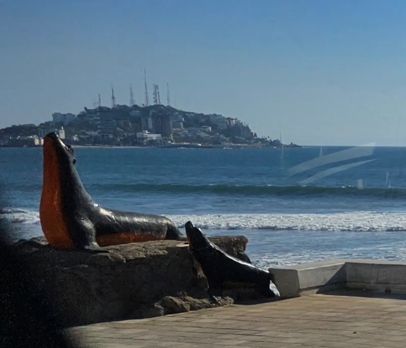 Sea lion monument