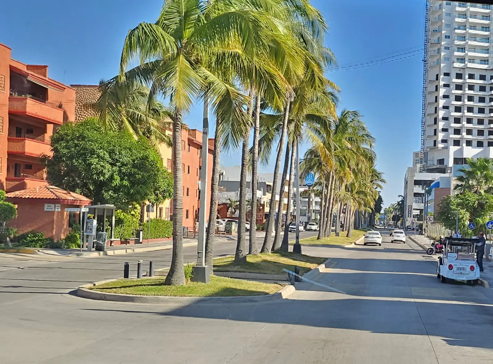 The Golden Zone (Zona Dorada)