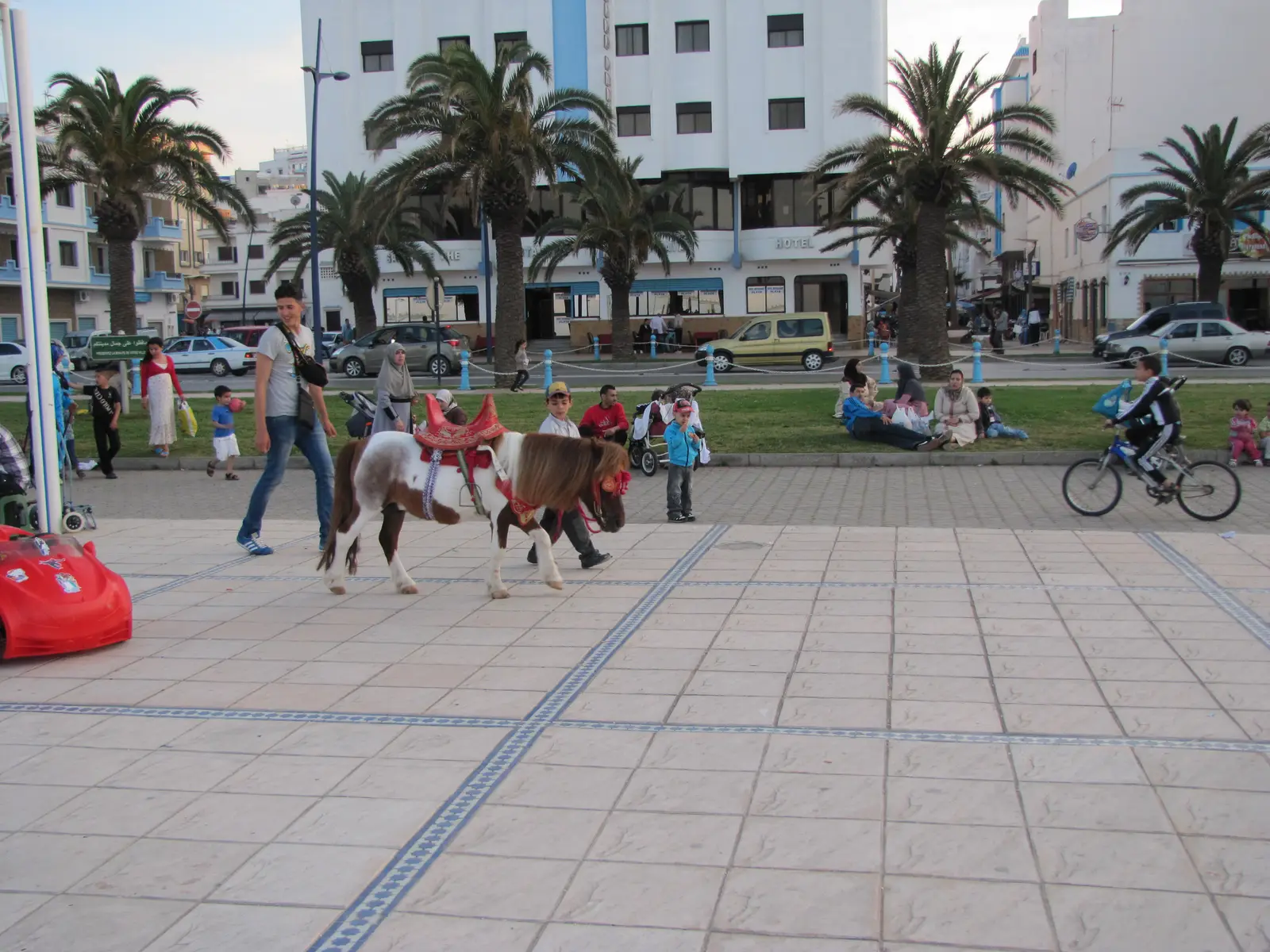 IMG_1103-2.JPG