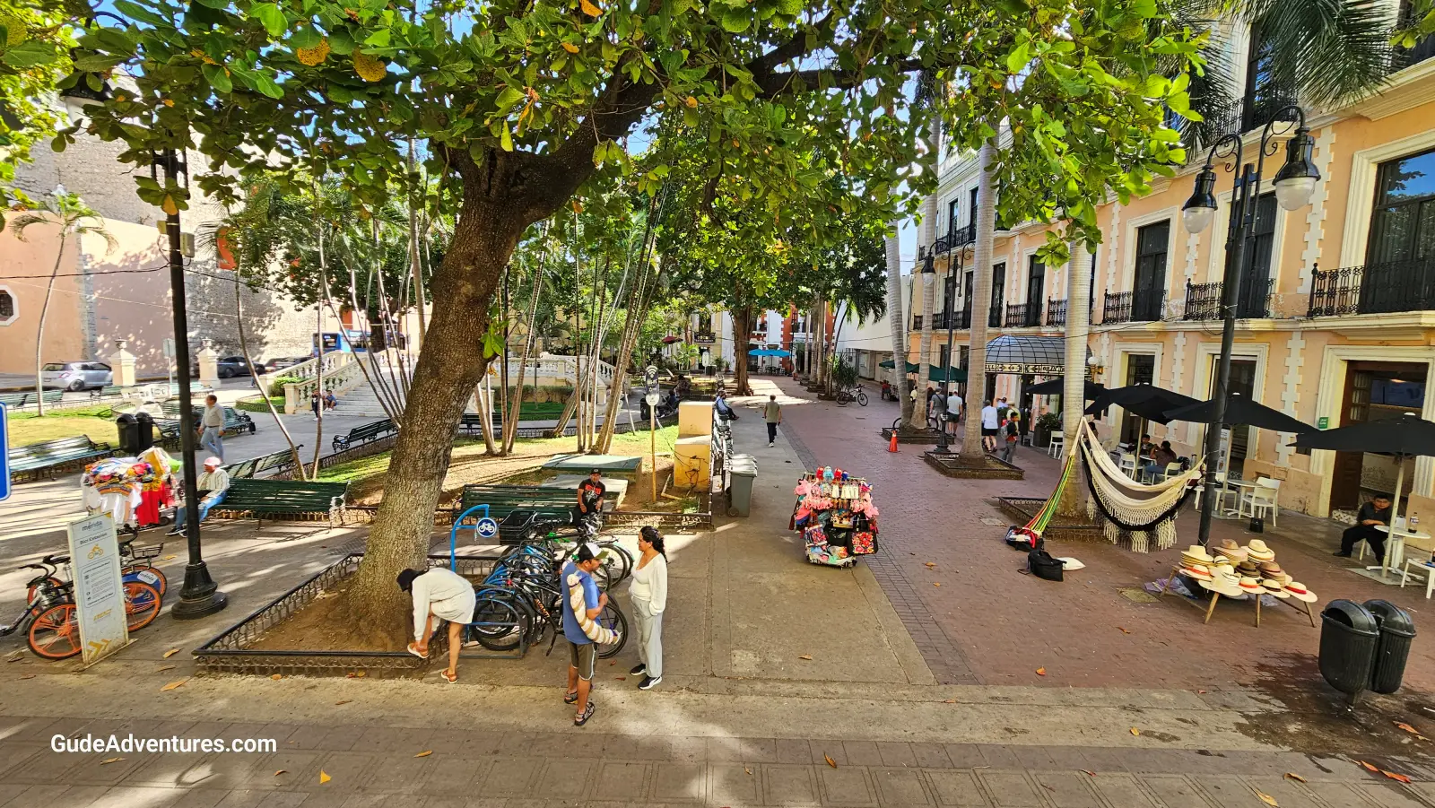 Calle 60 shops