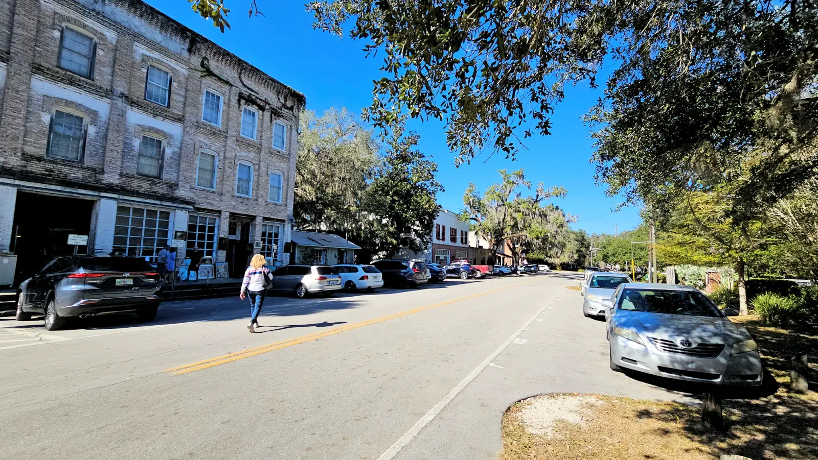 Shops in Downtown Micanopy