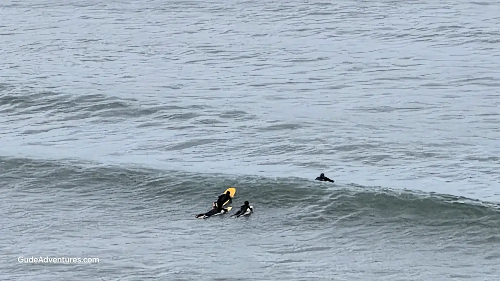 Surfers at Playa Redondo