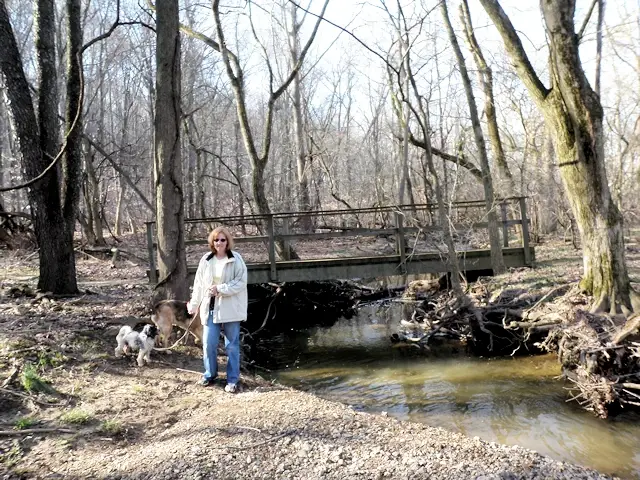 Gambrill Mill trail