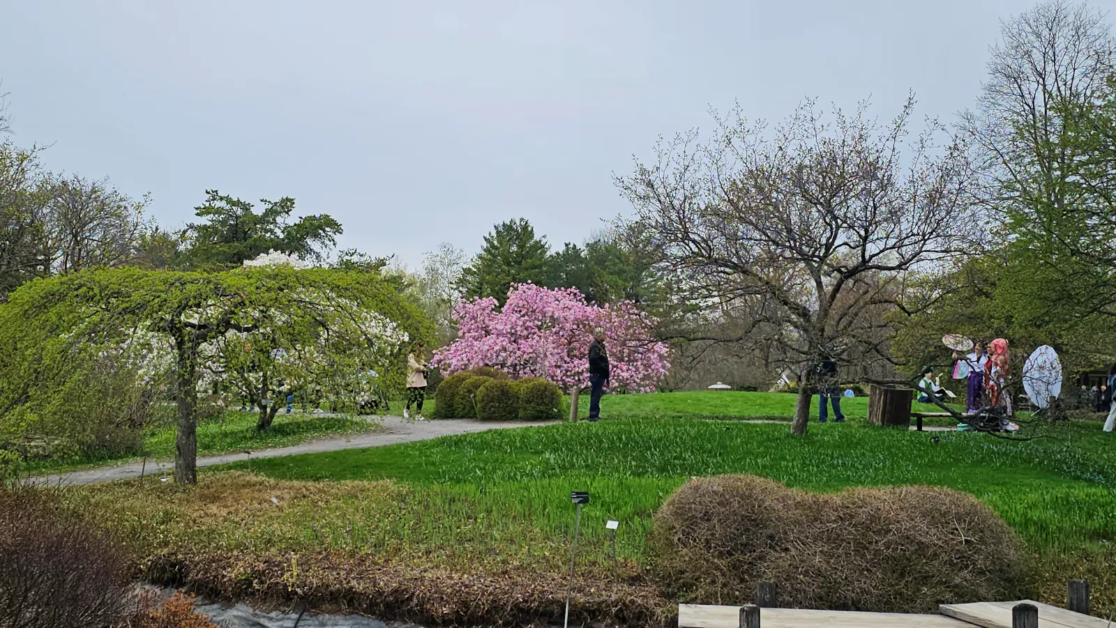 Montreal Botanical Garden's Japanese Garden