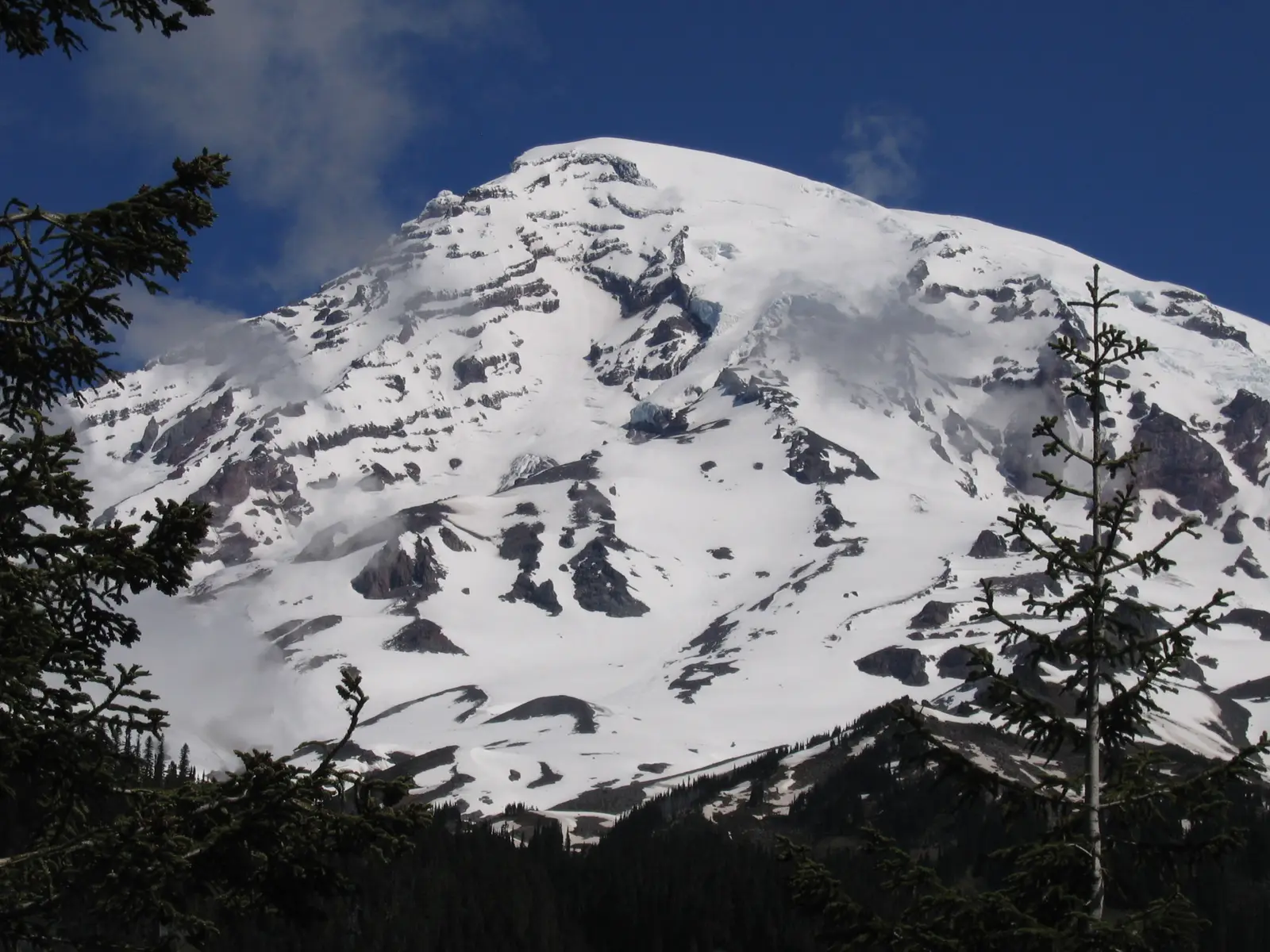 Mount Rainier 