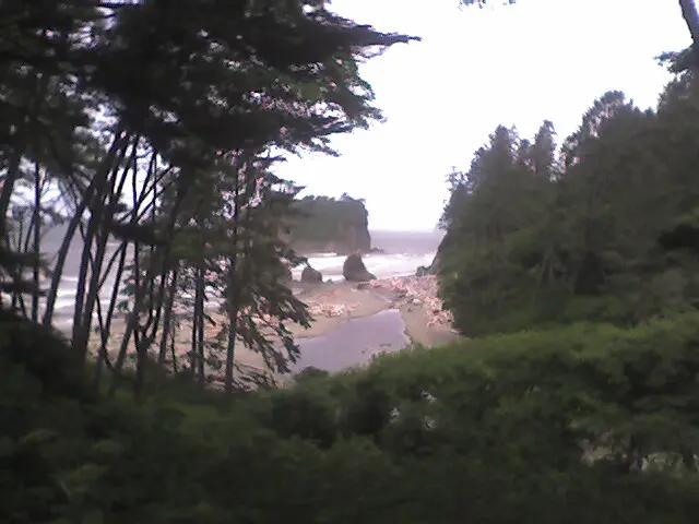 Kalaloch Beach on the Washington coast