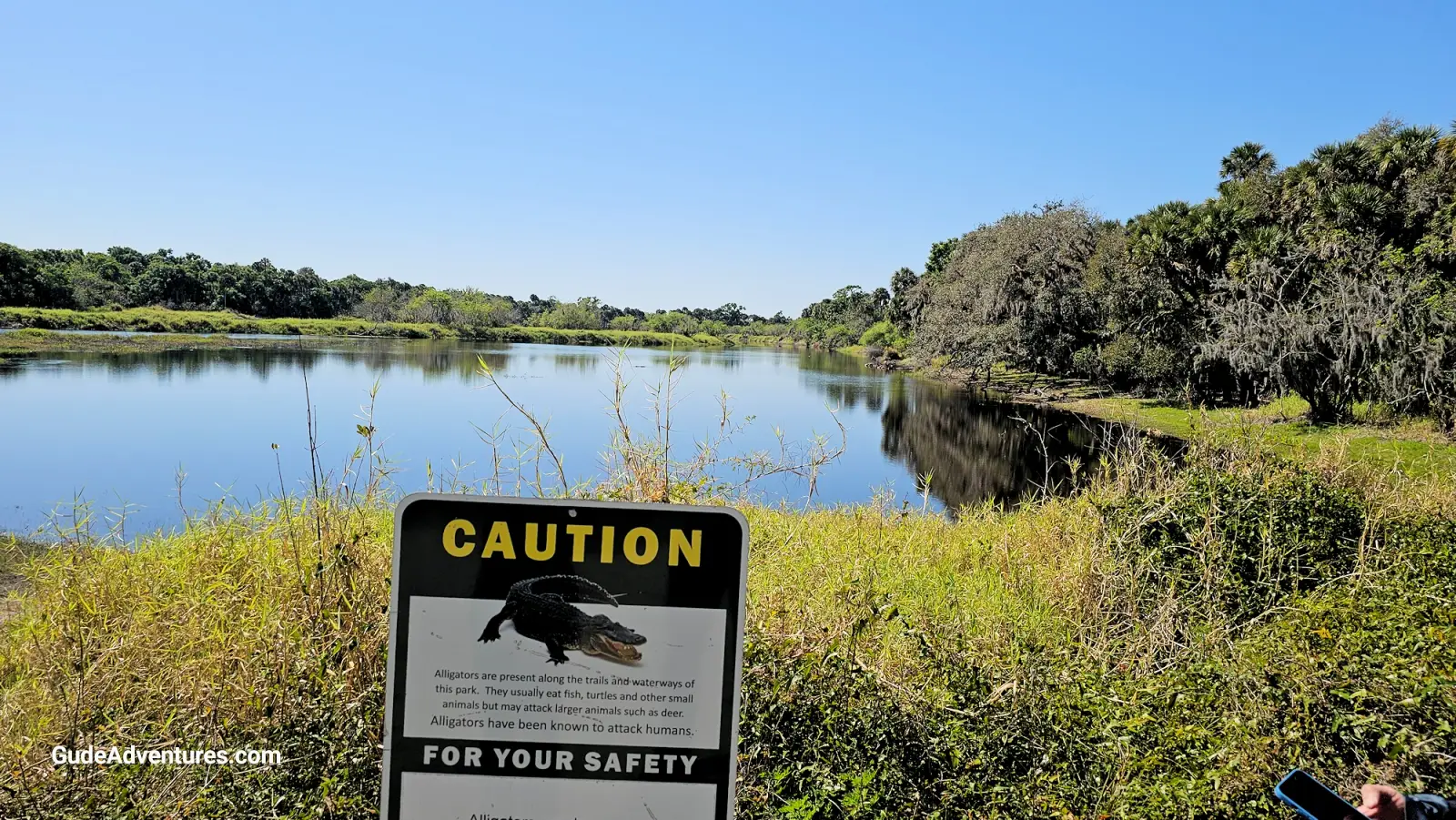 Alligator warning sign on the Myakka River