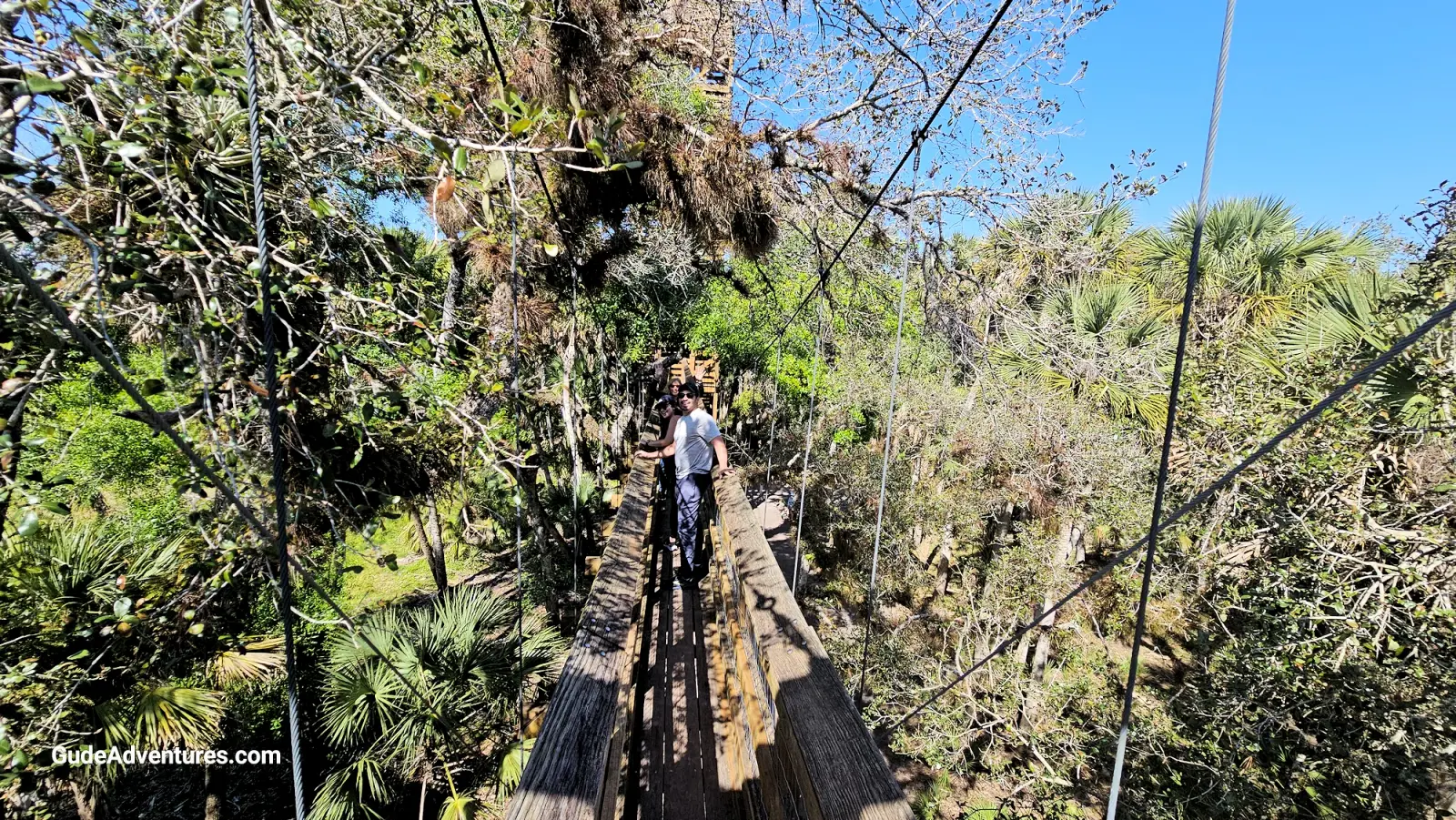 Swinging bridge on the Canopy Walkway