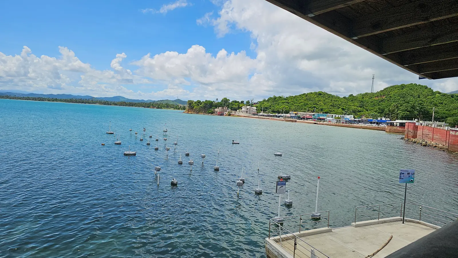 The harbor of Naguabo