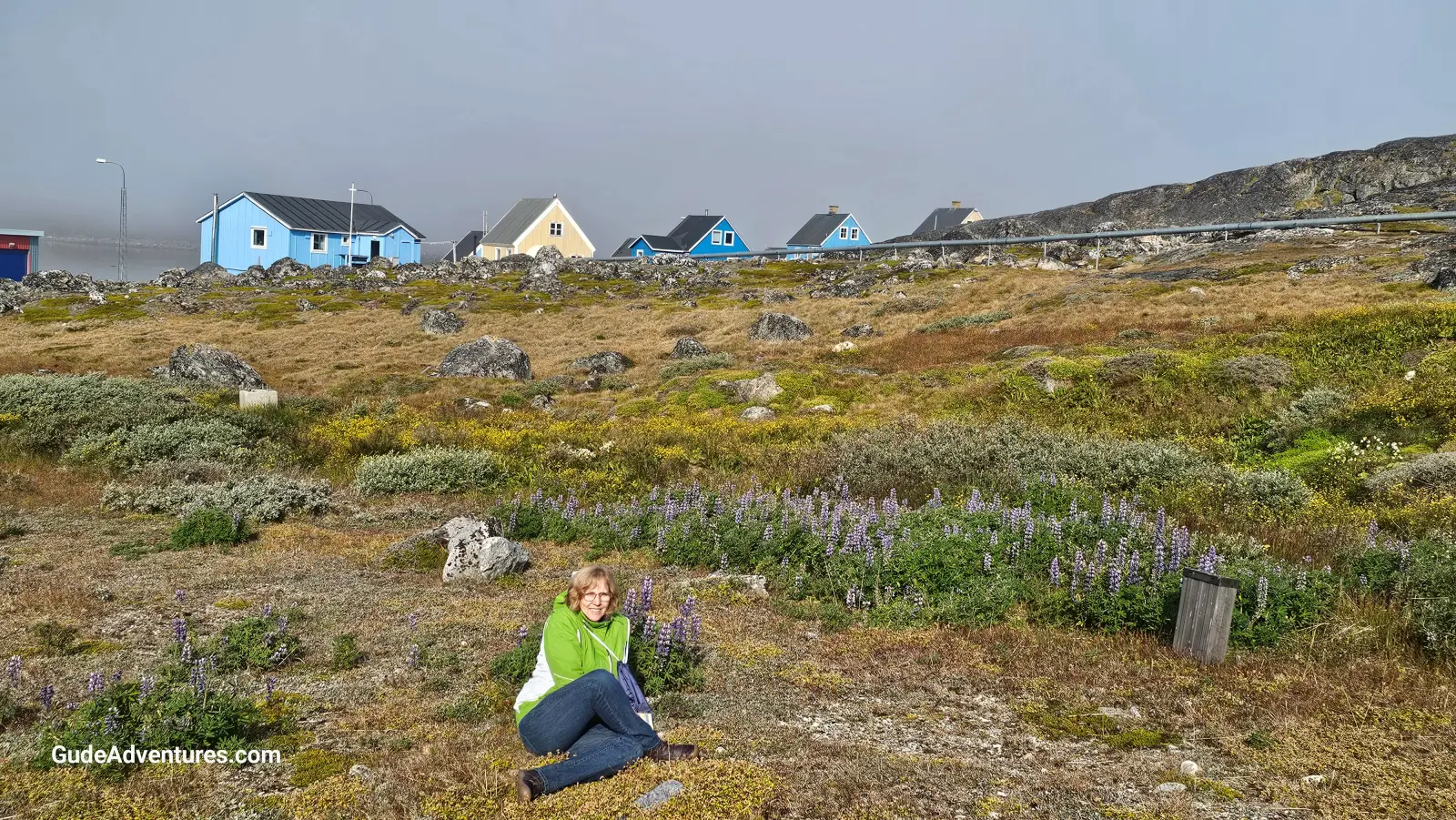 Nanortalik, Greenland field of flowers