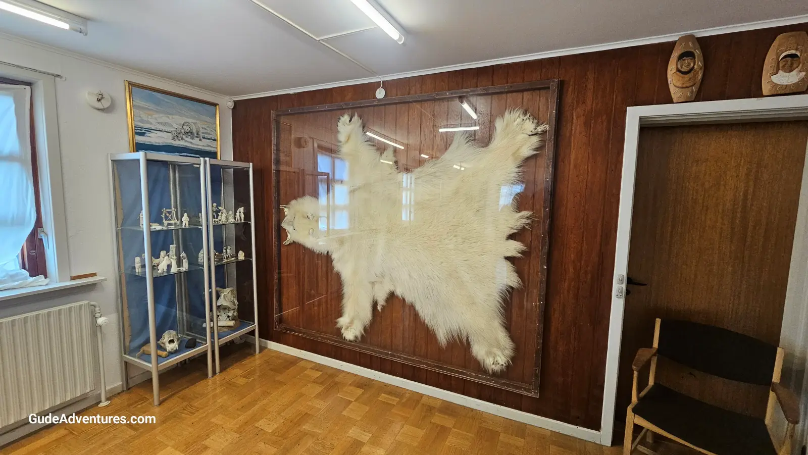 Polar bear skin