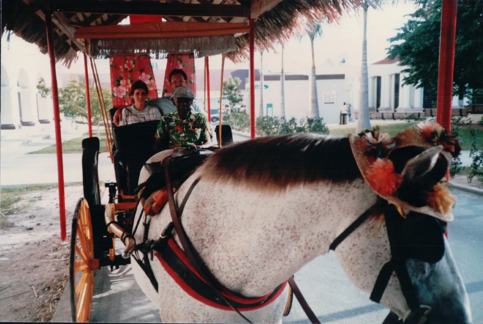 EK_0535.JPG