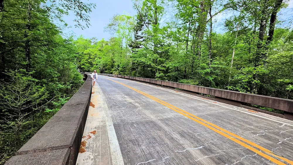 The road crossing the natural bridge.
