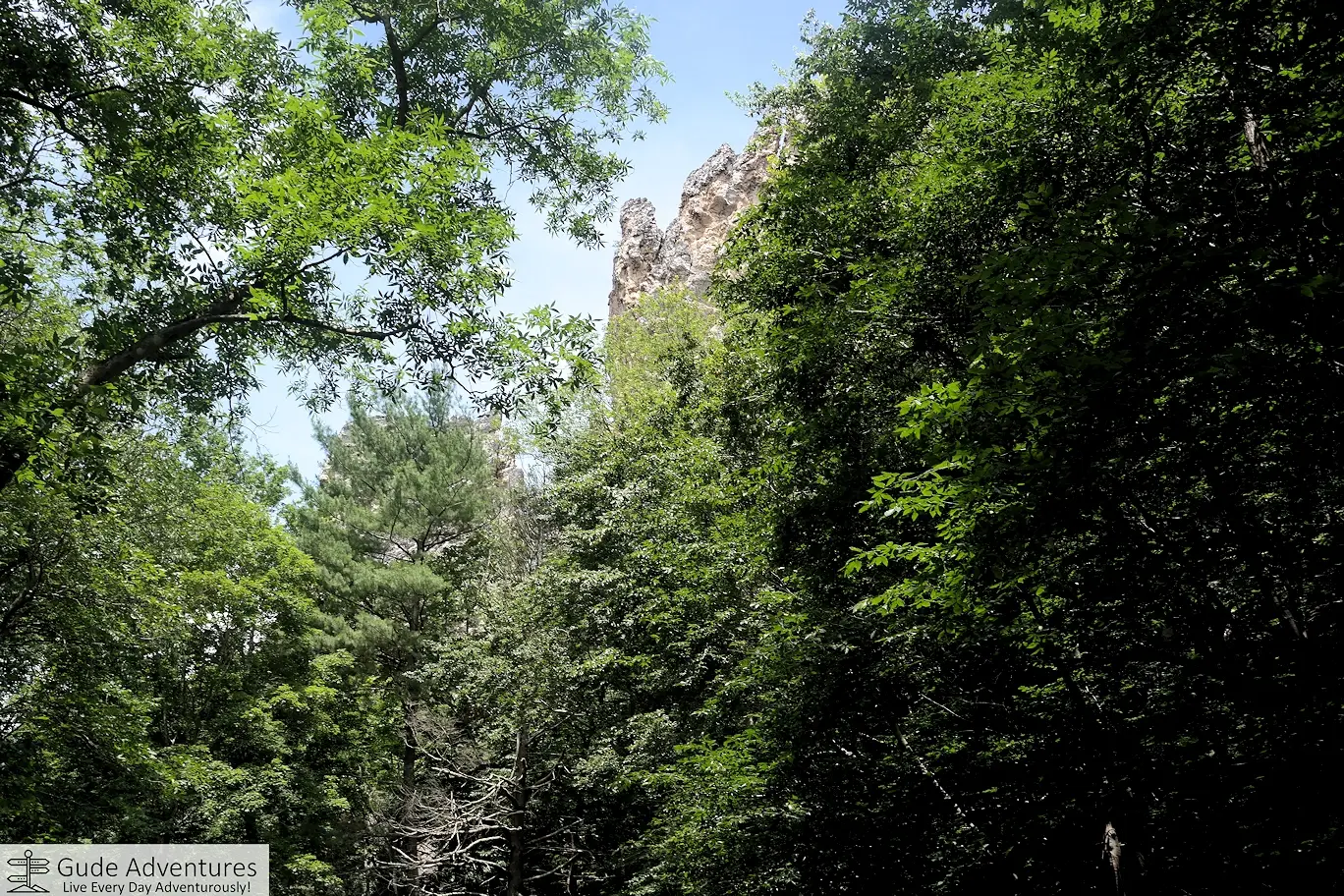 View through the trees to Nelson Rocks