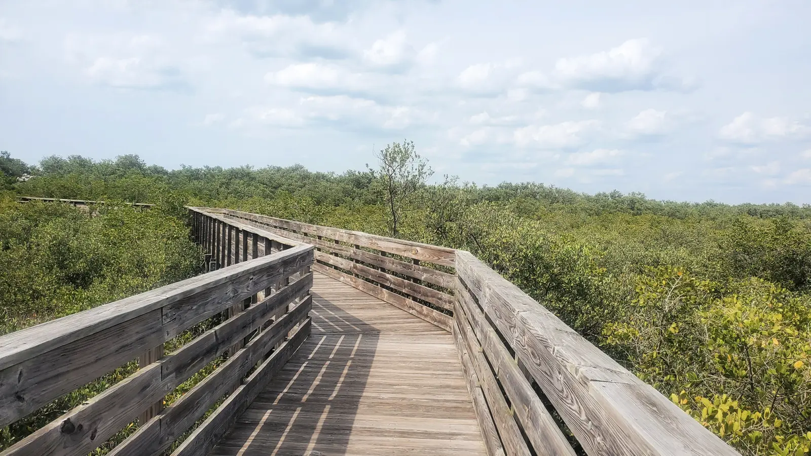 Boardwalk at Robert Rees Memorial Park on Green Key