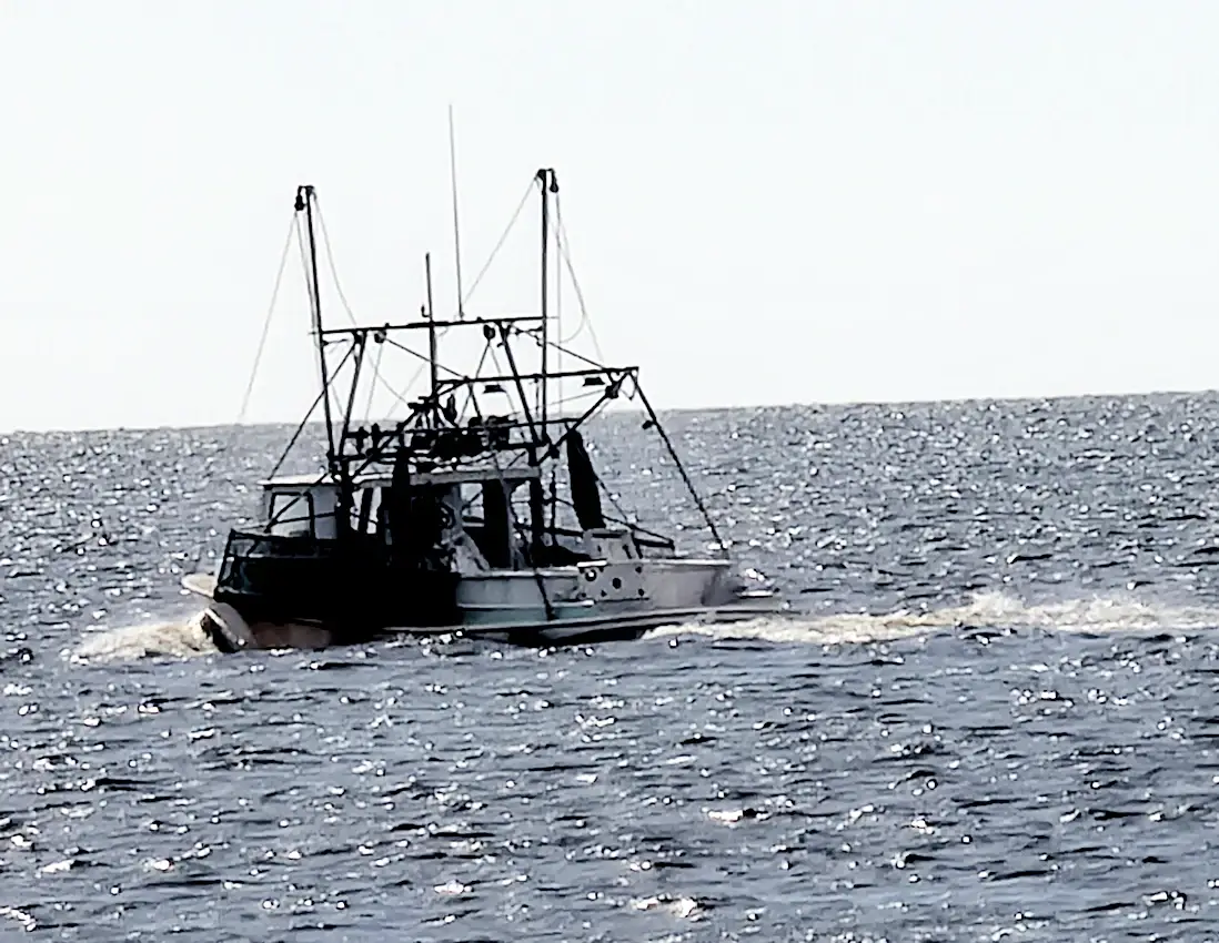 Shrimp boats headed out into the Gulf
