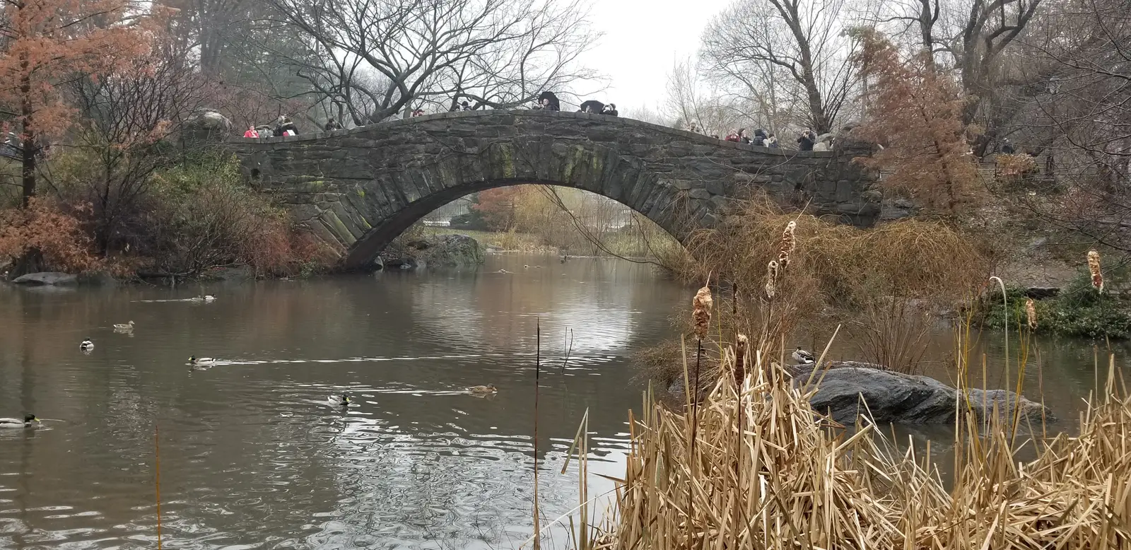 Bridge in Central Park