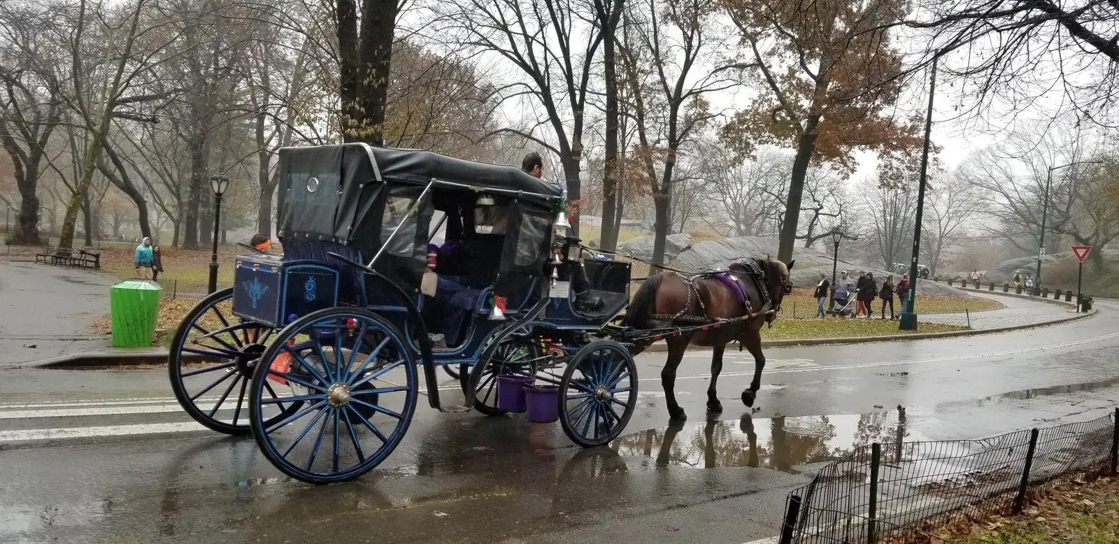 Carriage in Central Park
