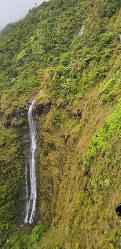 Some of the many waterfalls in the Forest Reserves