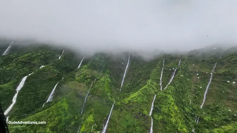 Some of the many waterfalls in the Forest Reserves