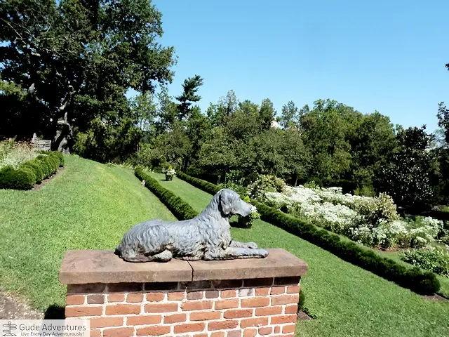 Dog statue in the gardens