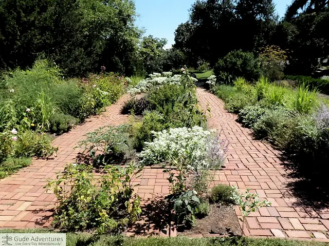 The herb garden