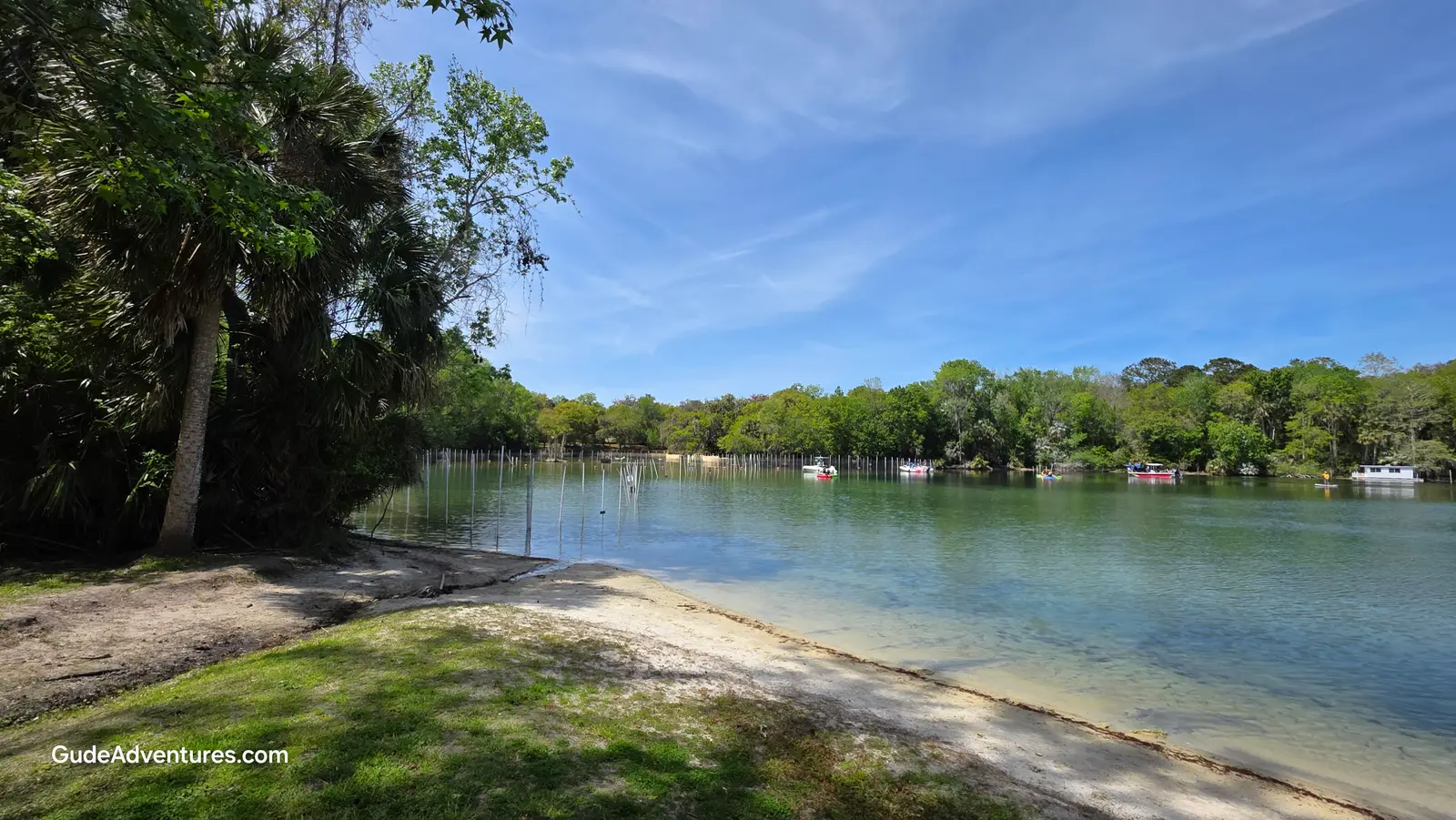 Salt Springs in the Ocala National Forest