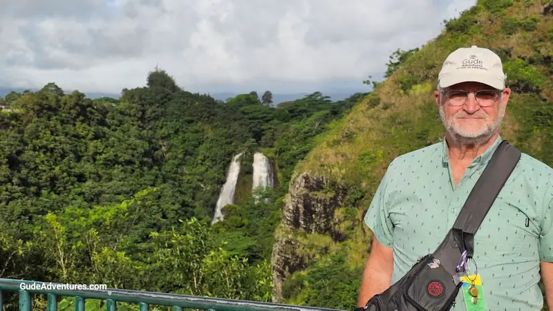 View of Opaekaa Falls from the overlook