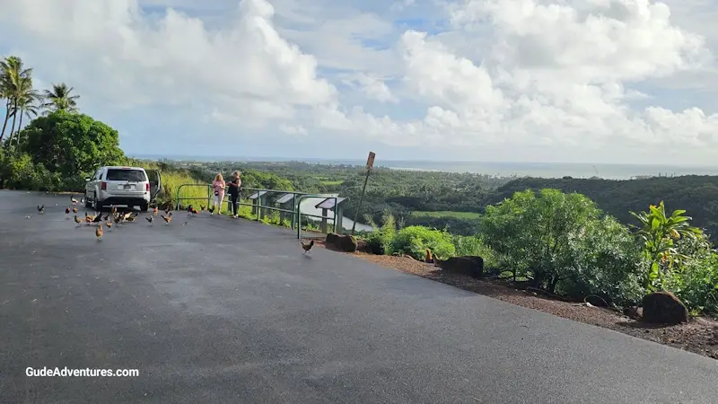 20231Wailua River valley overlook