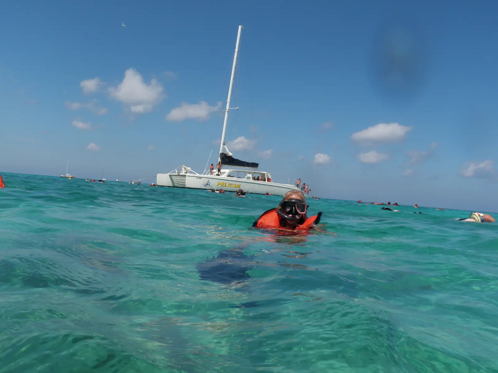 Snorkeling in Aruba