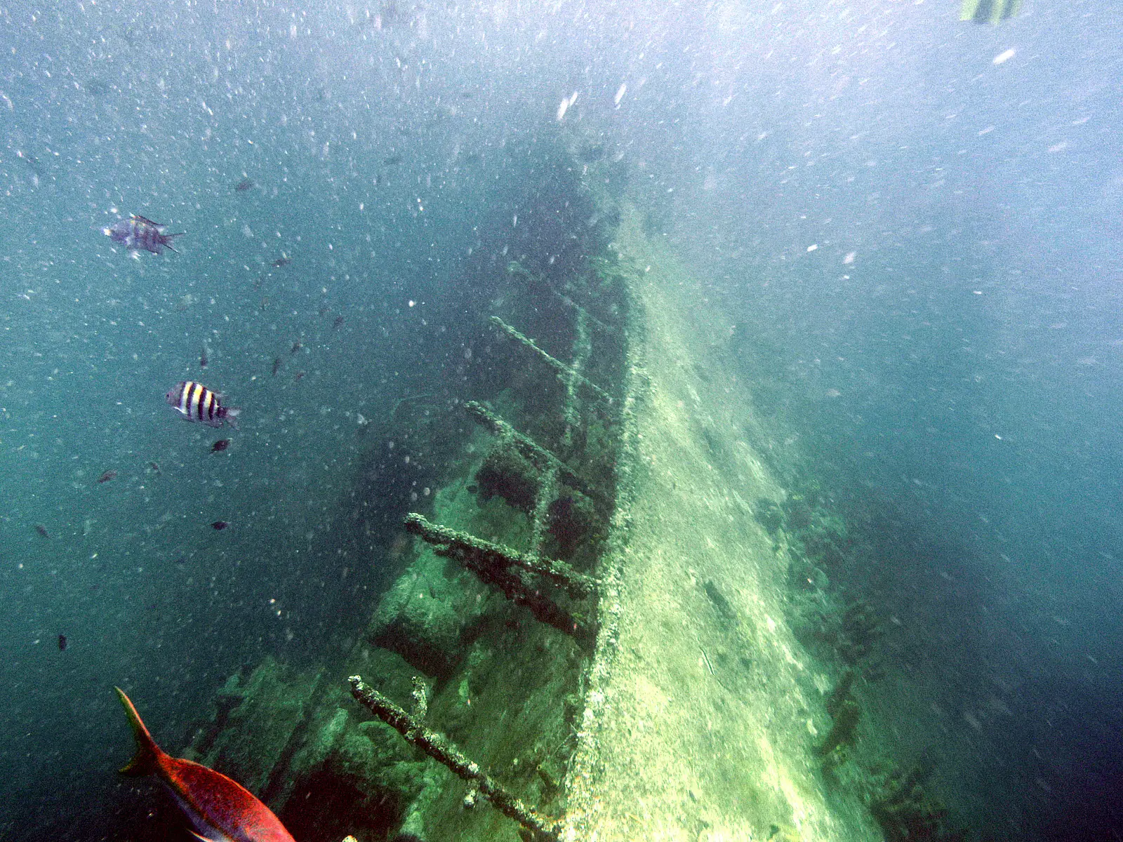 Sunken World War II freighter