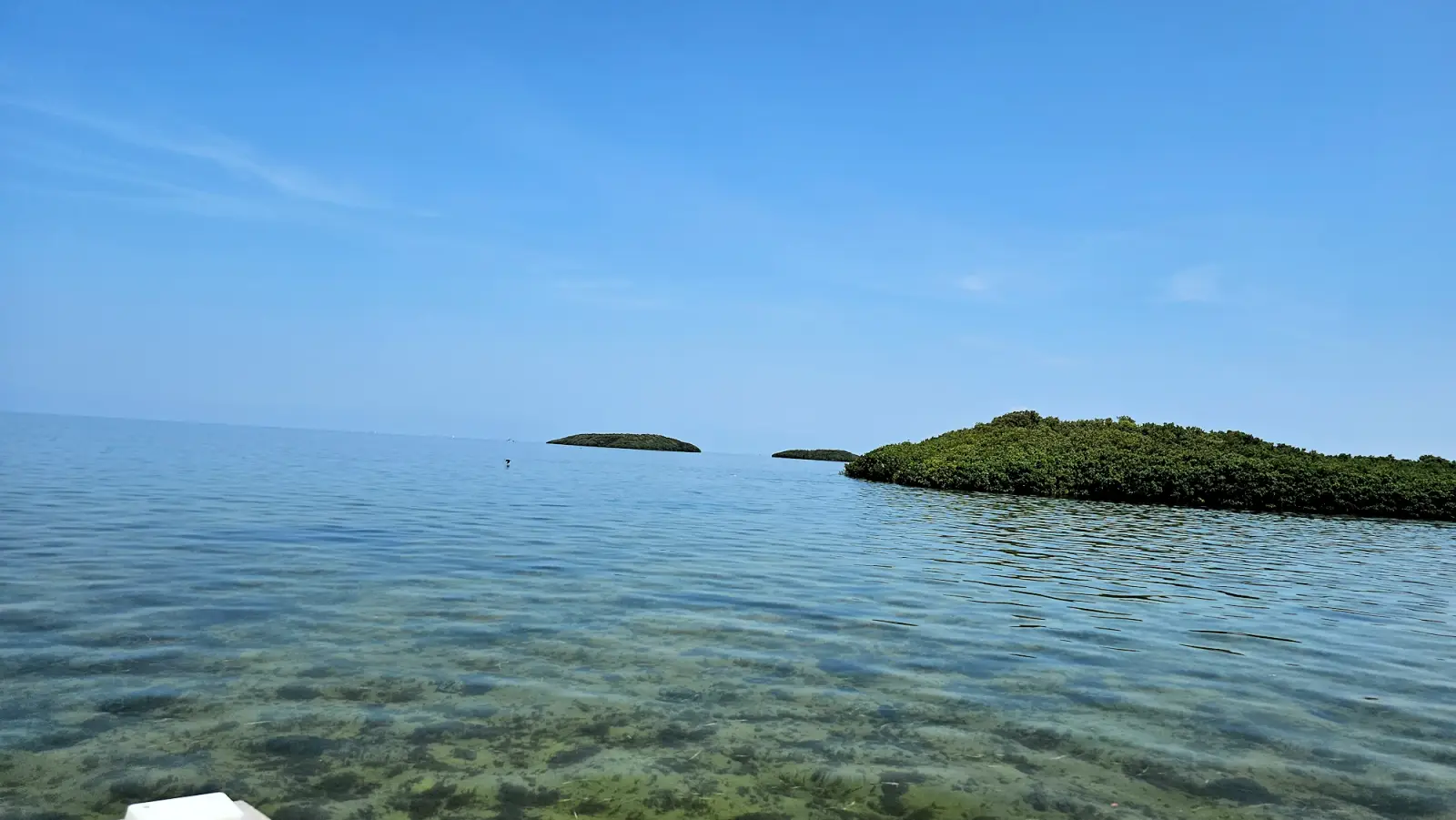 Islands in the Gulf