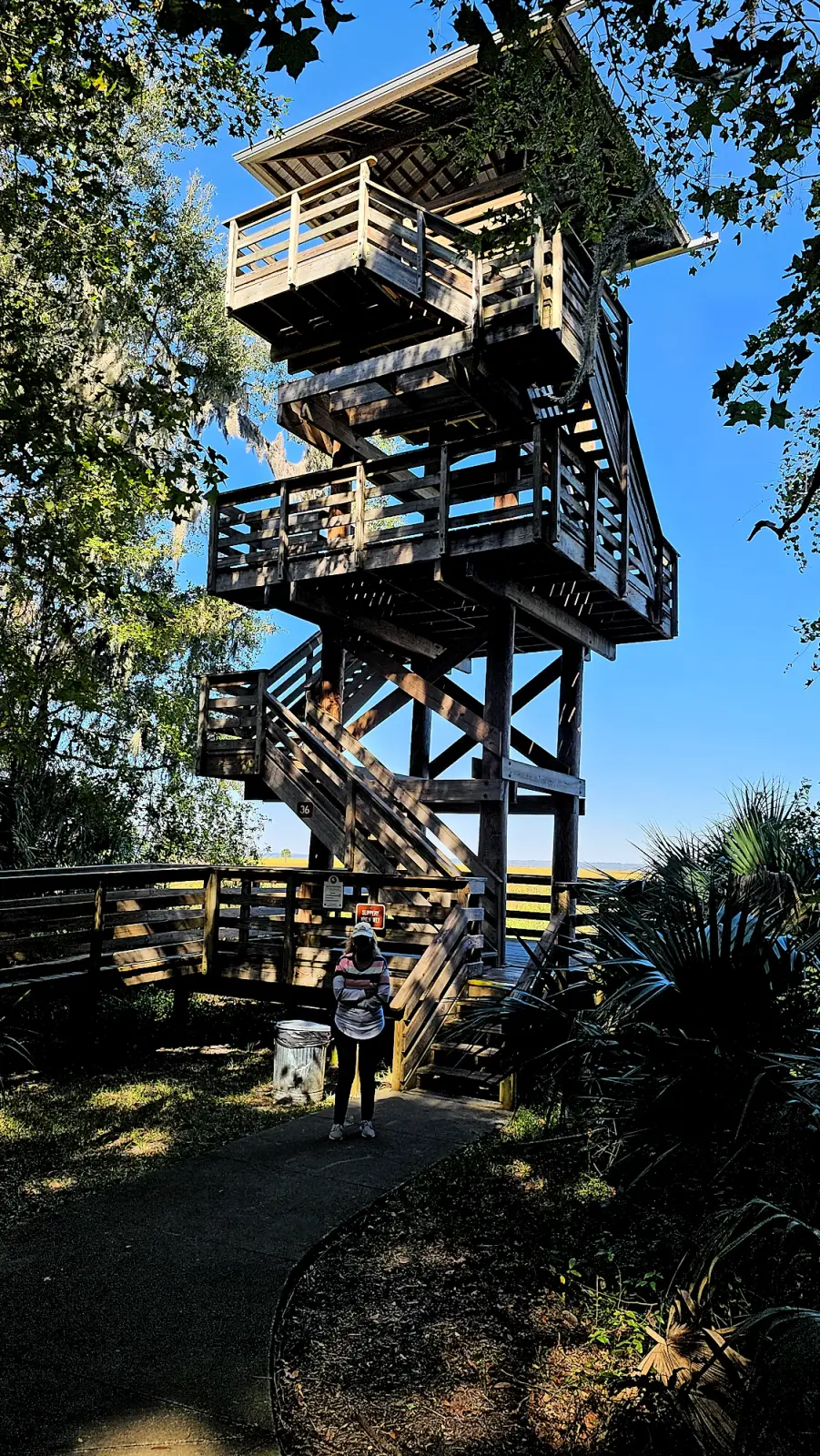 Observation tower at Paynes Prairie