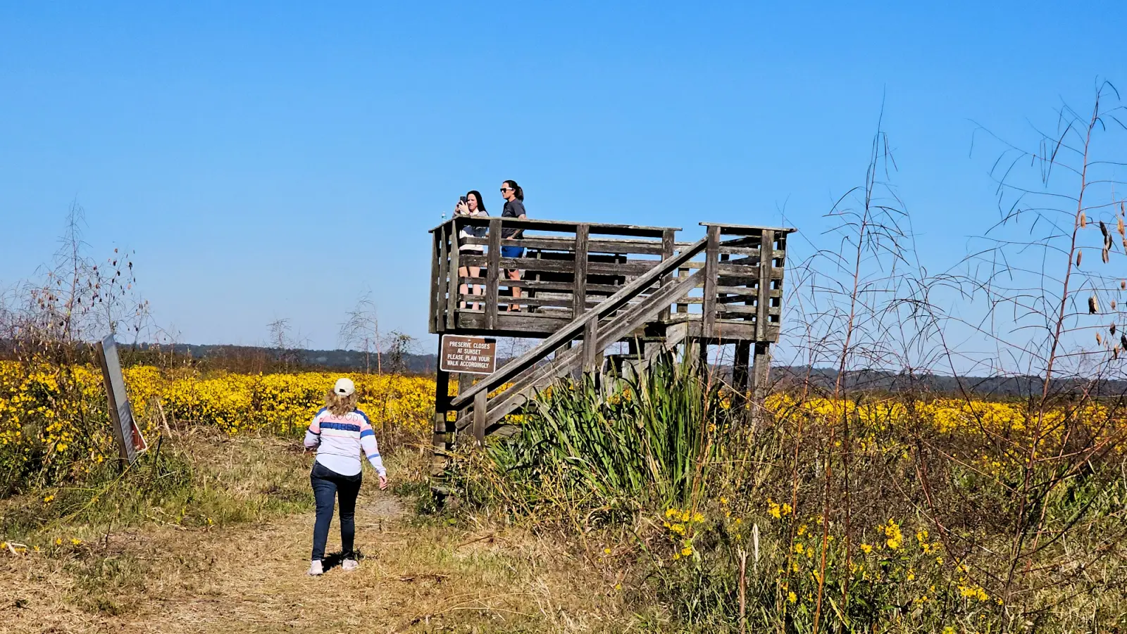 Observation tower on Bolen Bluff Trail