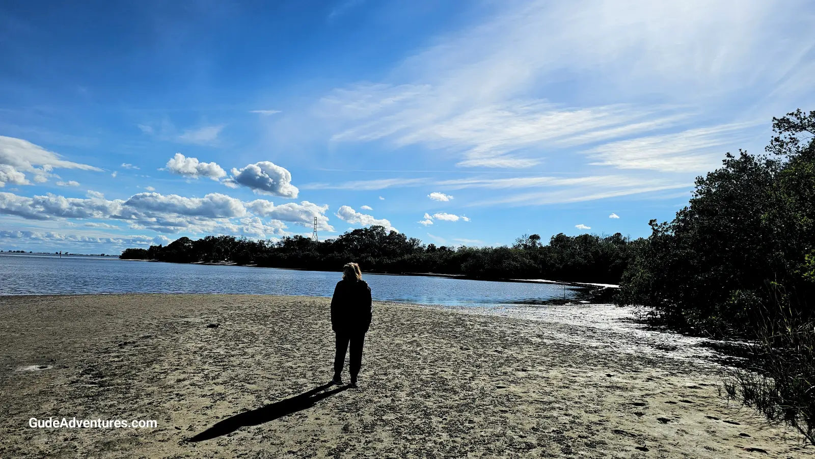 The shoreline near the Tocobaga mound in Philippe Park 