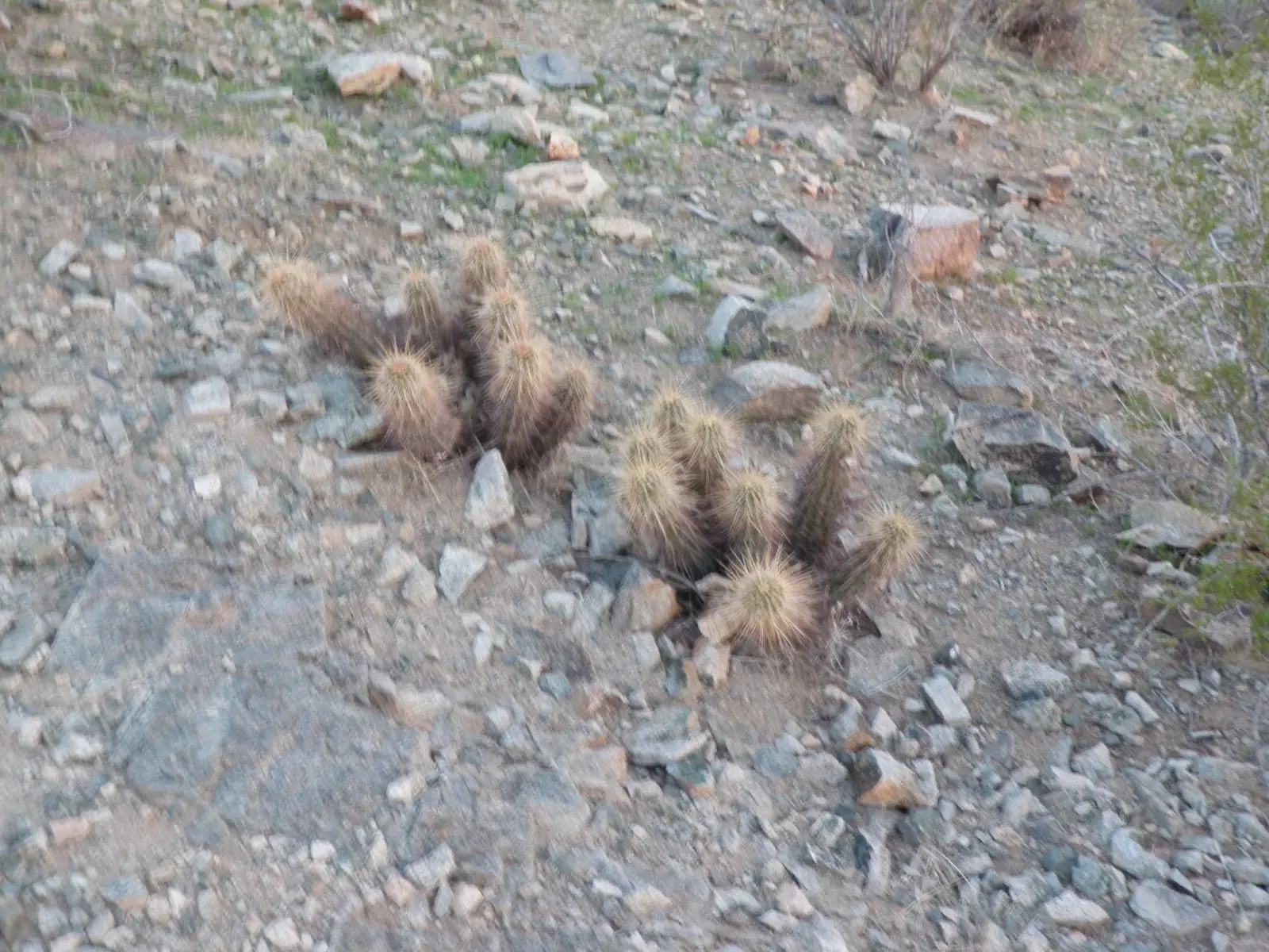 Hiking on South Mountain
