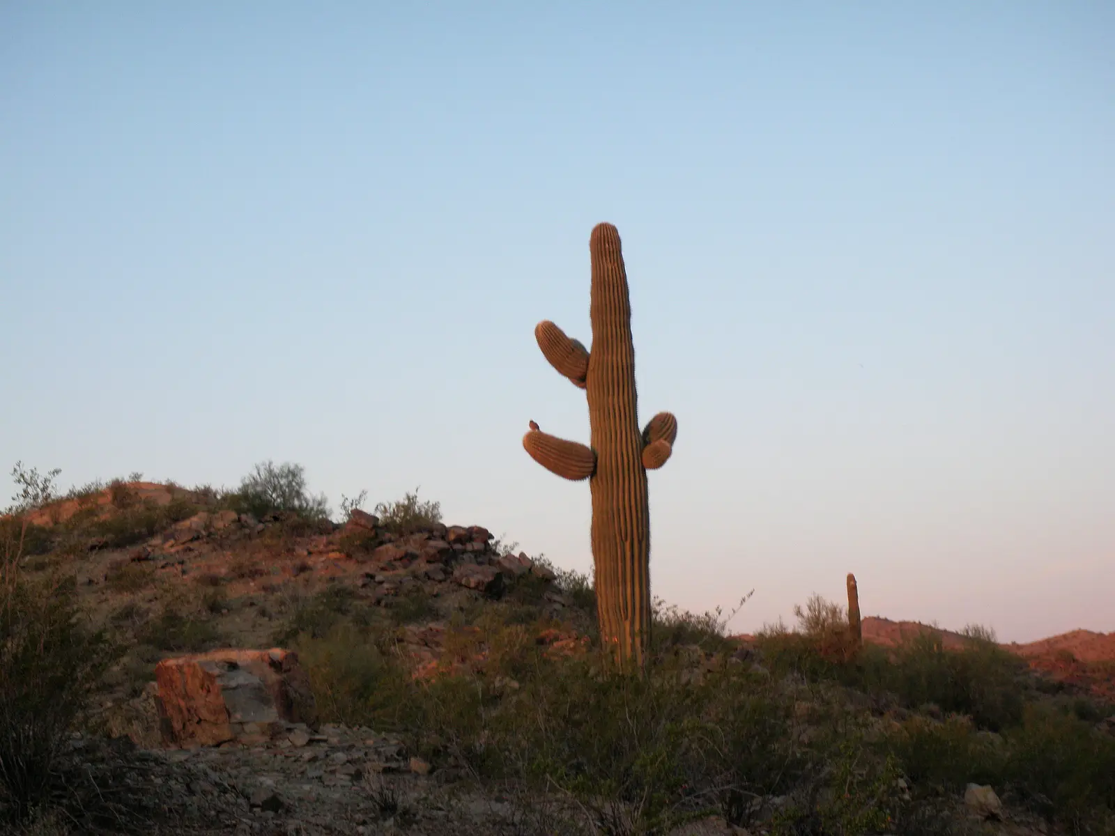 Hiking on South Mountain