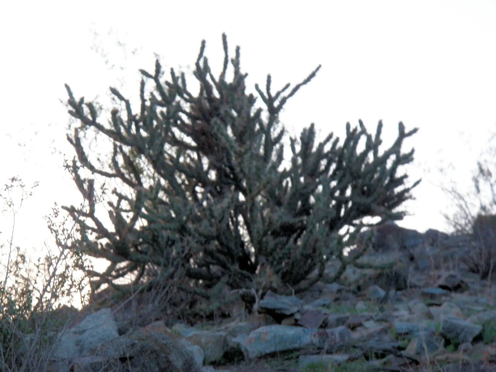 Hiking on South Mountain