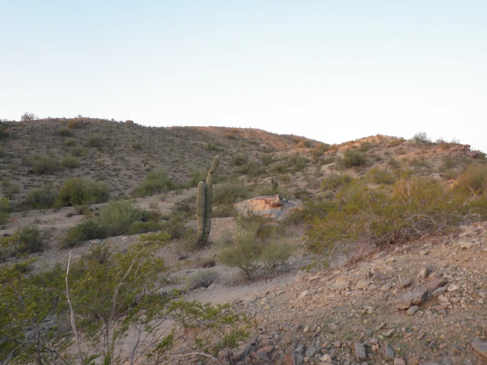 Hiking on South Mountain