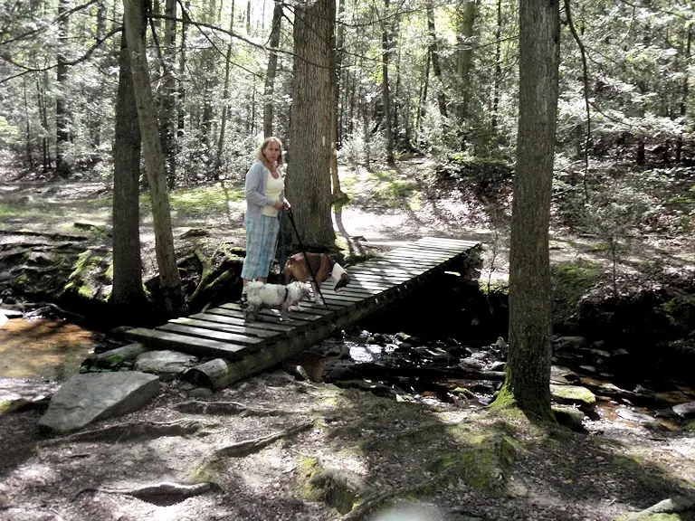 Foot bridge on the Appalachian trail near Pine Grove Furnace