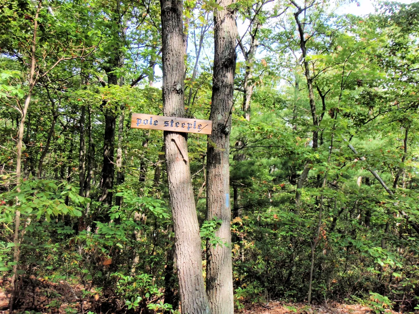 Trail from Appalachian Trail to Pole Steeple
