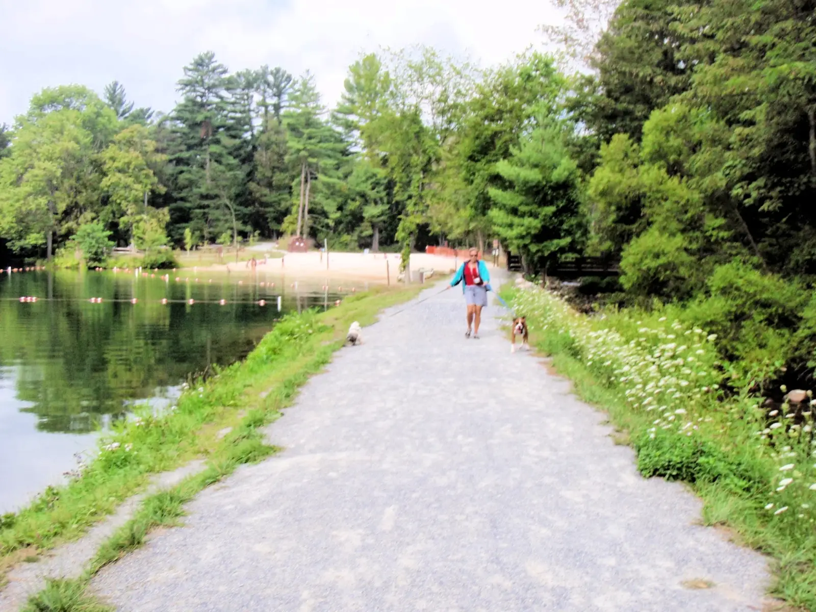 Trail at Laurel Lake