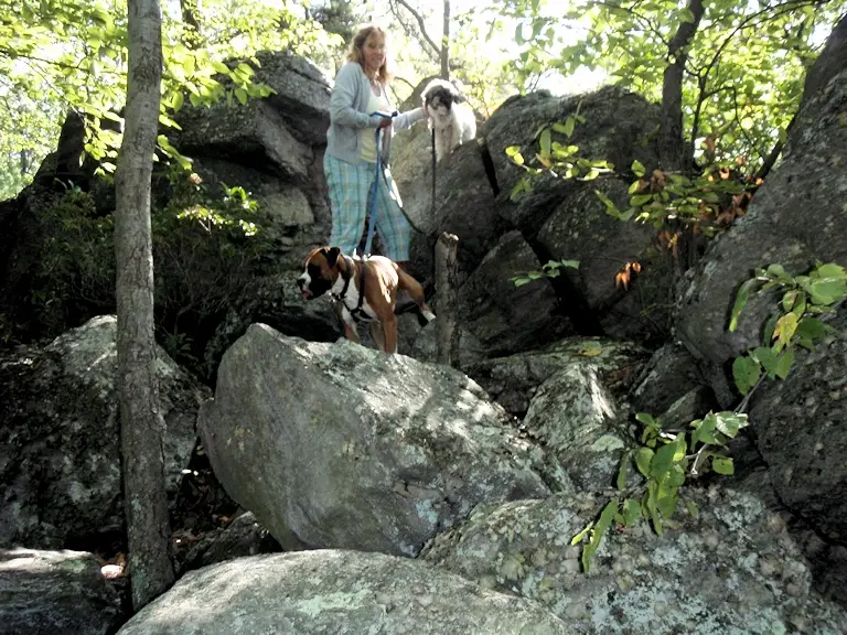 Sunset Rocks trail