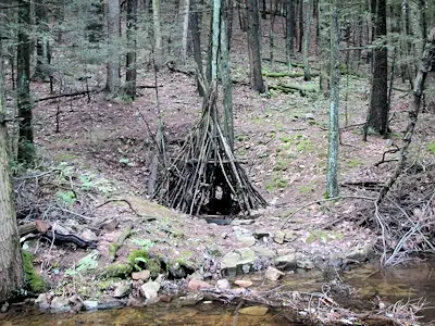 Charcoal pit near Caledonia Furnace